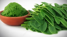 Vì sao chùm ngây được ví là thần dược ngàn năm?