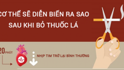 [Infographic] Cơ thể bạn biến đổi như thế nào sau khi cai thuốc lá?