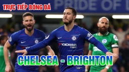 Trực tiếp bóng đá Ngoại hạng Anh: Chelsea vs Brighton trên K+PM