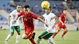 Trực tiếp bóng đá Indonesia vs Việt Nam vòng loại World Cup 2022 trên VTV6, VTV5