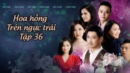 Xem phim Hoa hồng trên ngực trái tập 36 Preview VTV3 trên VTV Giải Trí