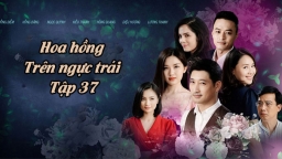 Xem phim Hoa hồng trên ngực trái tập 37 Preview VTV3 trên VTV Giải Trí