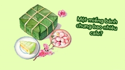 Những điều bạn cần biết khi ăn bánh chưng ngày Tết