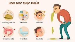 Cần làm gì khi bị ngộ độc thực phẩm? Cách phòng tránh và cách xử lý ngộ độc thực phẩm