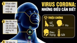 [Infographic] Những điều cần biết về virus Corona