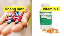 Thuốc kháng sinh, Vitamin C có phòng chống được virus Corona hay không?