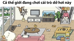 Dân mạng phát sốt với trò chơi giả lập nuôi mèo Adorable Home