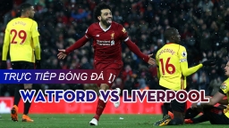 Trực tiếp bóng đá Ngoại hạng Anh: Watford vs Liverpool trên K+PM