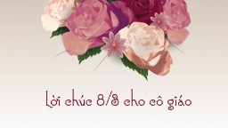 Tổng hợp 15 lời chúc 8/3 cho cô giáo hay, ấn tượng nhất