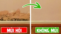 4 lý do khiến nhà ở có mùi hôi khó chịu và cách xử lý