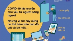 Những đồ vật tiếp xúc hàng ngày có thể chứa virus lây truyền COVID-19