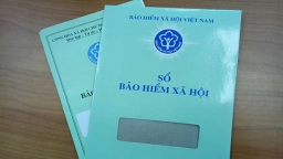 Bảo hiểm xã hội là gì? Mức đóng BHXH bắt buộc 2020 là bao nhiêu?