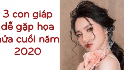 Tử vi 2020: 3 con giáp liên tục gặp họa nửa cuối năm 2020