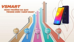 Vsmart tăng trưởng ra sao trong hơn 1 năm qua?