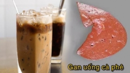 4 giờ vàng uống cà phê giúp cơ thể 'hưởng lợi' đủ đường, tiêu hóa tốt, gan được bảo vệ