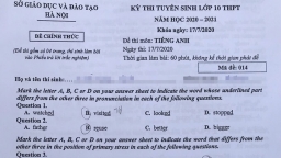 Đề thi môn tiếng Anh vào lớp 10 tại Hà Nội