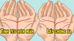 Chụm 2 lòng bàn tay lại với nhau xem vận trình tình duyên: Bằng nhau tình yêu viên mãn