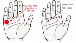 4 dấu hiệu trên bàn tay của những người thành đạt, giàu có, lắm tiền nhiều của