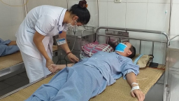 Hà Nội: 1 tuần có gần 400 ca mắc sốt xuất huyết với nhiều ca nặng