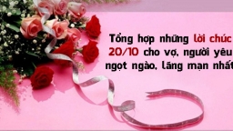 1001 lời chúc 20/10 dành tặng vợ, người yêu, crush ngọt ngào, lãng mạn nhất