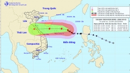 Tin bão trên biển Đông: Bão số 8 mạnh lên, gây mưa lớn ở miền Trung