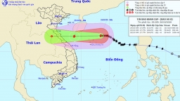 Tin bão khẩn cấp: Cơn bão số 8 áp sát nước ta, gây mưa lớn tại các tỉnh miền Trung