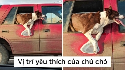 18 bức ảnh so sánh 'biến' thời gian trở thành thứ có thể nhìn thấy được