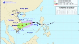 Dự báo thời tiết hôm nay 4/11: Bão số 10 tăng cấp, hướng thẳng vào Quảng Ngãi - Khánh Hòa