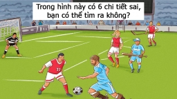 Câu đố tìm lỗi sai trong 11 bức tranh thử thách bộ não của bạn