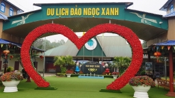 Vụ 3 học sinh thương vong khi chơi tàu lượn: Tạm dừng hoạt động Đảo Ngọc Xanh