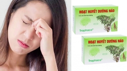 7 loại thuốc bổ não giúp tăng cường trí nhớ, lưu thông tuần hoàn máu tốt nhất hiện nay