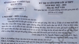 Đề thi vào lớp 10 môn Ngữ văn tại Hải Dương năm 2021 đầy đủ nhất