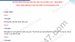 Gợi ý đáp án đề thi môn Ngữ văn vào lớp 10 tỉnh Thái Bình năm 2021 đầy đủ nhất