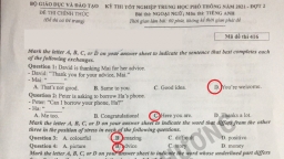 Đề thi, đáp án môn Tiếng Anh tốt nghiệp THPT 2021 đợt 2 tất cả mã đề đầy đủ nhất