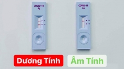 [Video] Hướng dẫn tự test nhanh COVID-19 tại nhà