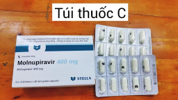 TP.HCM đang điều tra thông tin rao bán thuốc kháng virus Molnupiravir trên mạng