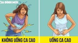 5 lợi ích của ca cao có thể làm cuộc sống của bạn tốt đẹp hơn nhưng chưa nhiều người biết