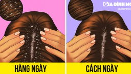 Điều gì sẽ xảy ra với mái tóc nếu bạn gội đầu hàng ngày?
