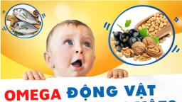 Sự thật về Omega thực vật và Omega động vật: mẹ cần biết