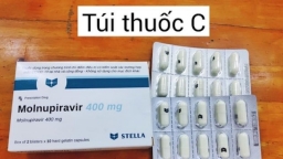 TP.HCM: Người thuộc nhóm nguy cơ mắc COVID-19 cần được sử dụng ngay Molnupiravir