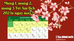 Mùng 1, mùng 2, mùng 3 Tết Nguyên đán Nhâm Dần 2022 là ngày mấy Dương lịch?