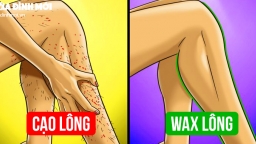 Vì sao bạn nên wax lông hơn là dùng dao cạo?