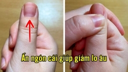 5 điều có thể giúp bạn giảm căng thẳng và thư giãn tức thì