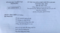 Đề thi, đáp án môn Ngữ văn vào lớp 10 THPT Chuyên Lam Sơn năm 2022 đầy đủ nhất