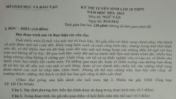 Đề thi vào lớp 10 môn Ngữ văn tỉnh Bình Dương năm 2022 đầy đủ nhất