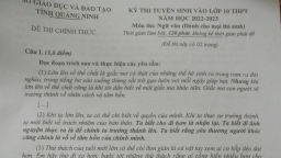 Đề thi vào lớp 10 môn Ngữ văn tỉnh Quảng Ninh năm 2022 đầy đủ nhất