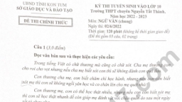 Đề thi, đáp án môn Ngữ văn vào lớp 10 THPT Chuyên Nguyễn Tất Thành năm 2022 đầy đủ nhất