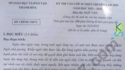 Đề thi vào lớp 10 môn Ngữ Văn trường THPT chuyên Lam Sơn năm 2022 đầy đủ nhất