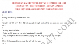 Gợi ý đáp án đề thi môn Ngữ văn vào lớp 10 trường THPT chuyên Lam Sơn năm 2022 đầy đủ nhất