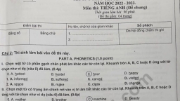 Đề thi môn Tiếng Anh lớp 10 tỉnh Điện Biên năm 2022 đầy đủ nhất